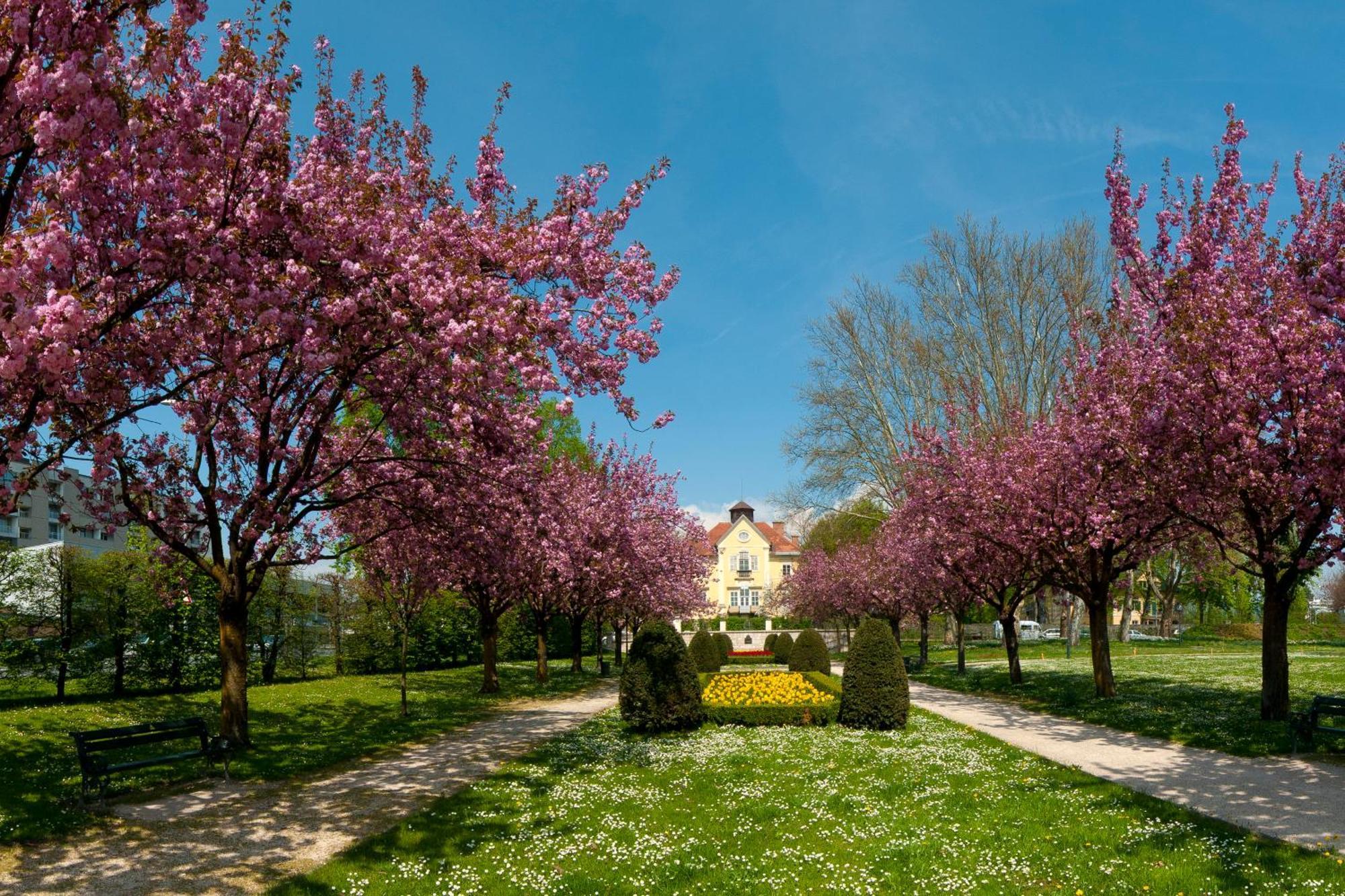 Cityhotel Am Domplatz Self-Checkin Klagenfurt am Woerthersee ภายนอก รูปภาพ